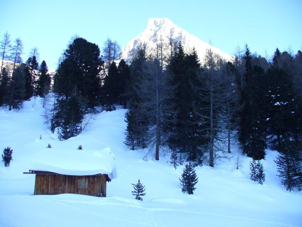 Hotel El Geiger Pozza di Fassa Exterior foto